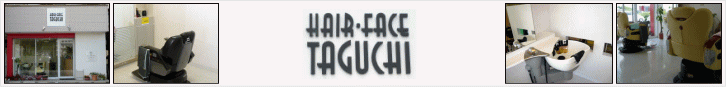 TAGUCHI top